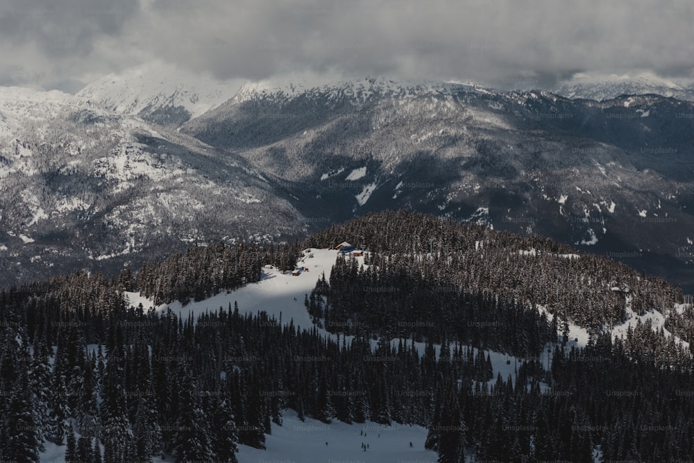 雪に覆われた山脈と木々