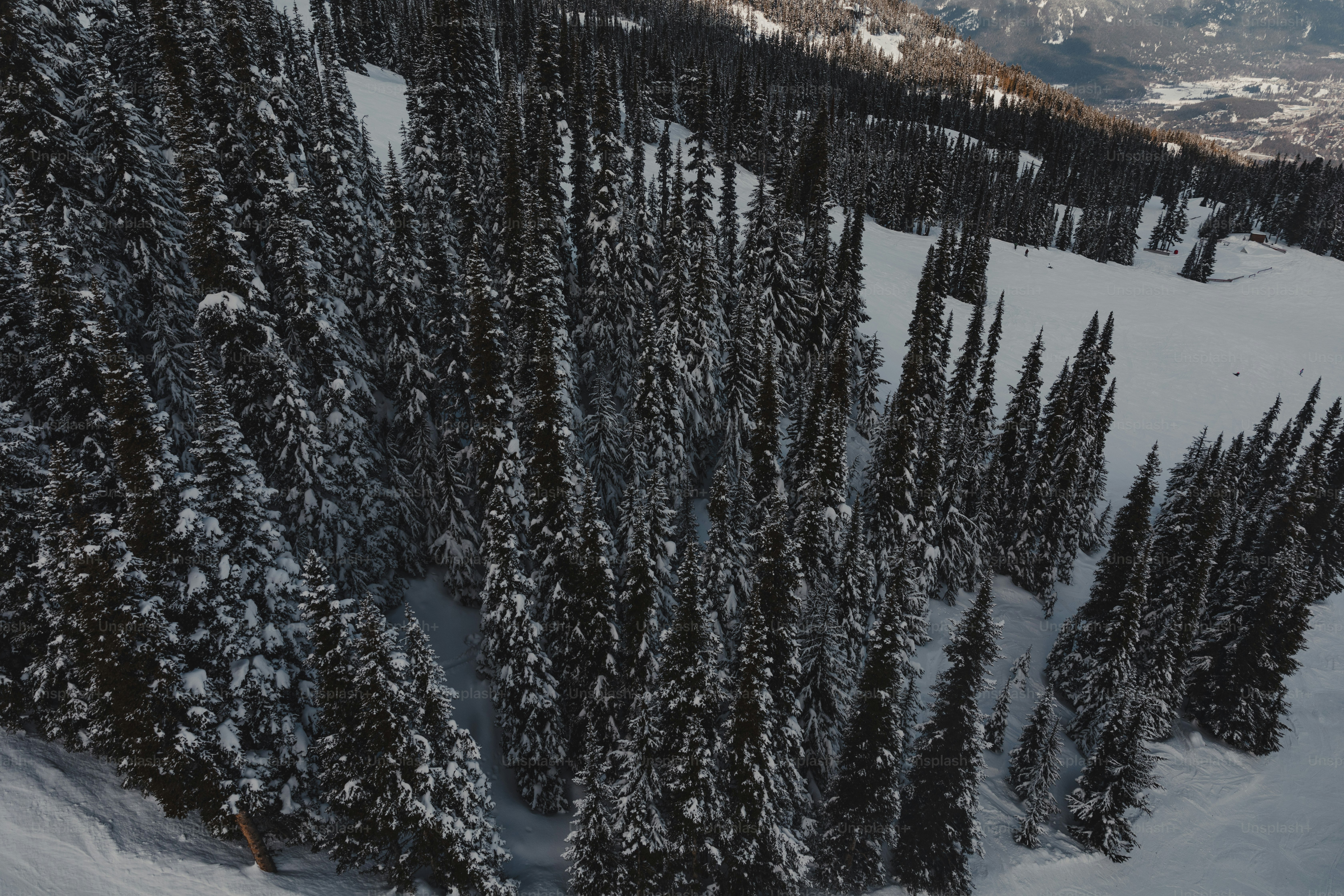 A view of a mountain range with trees in the foreground photo ...