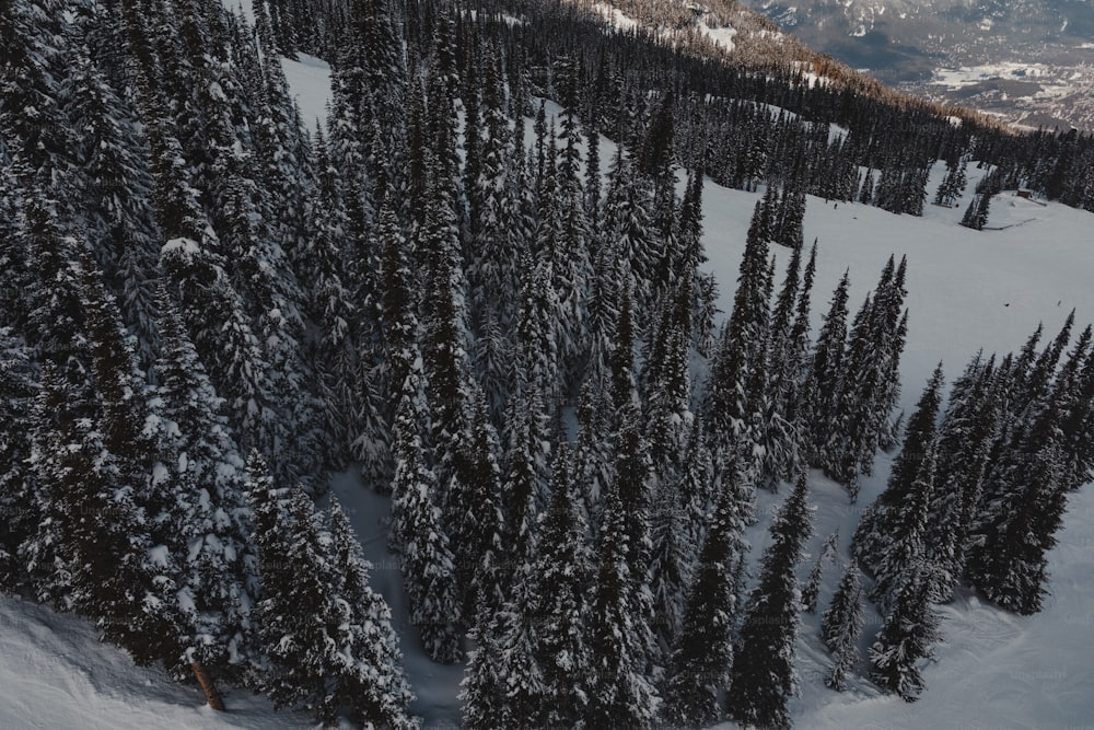 a person skiing down a snow covered mountain