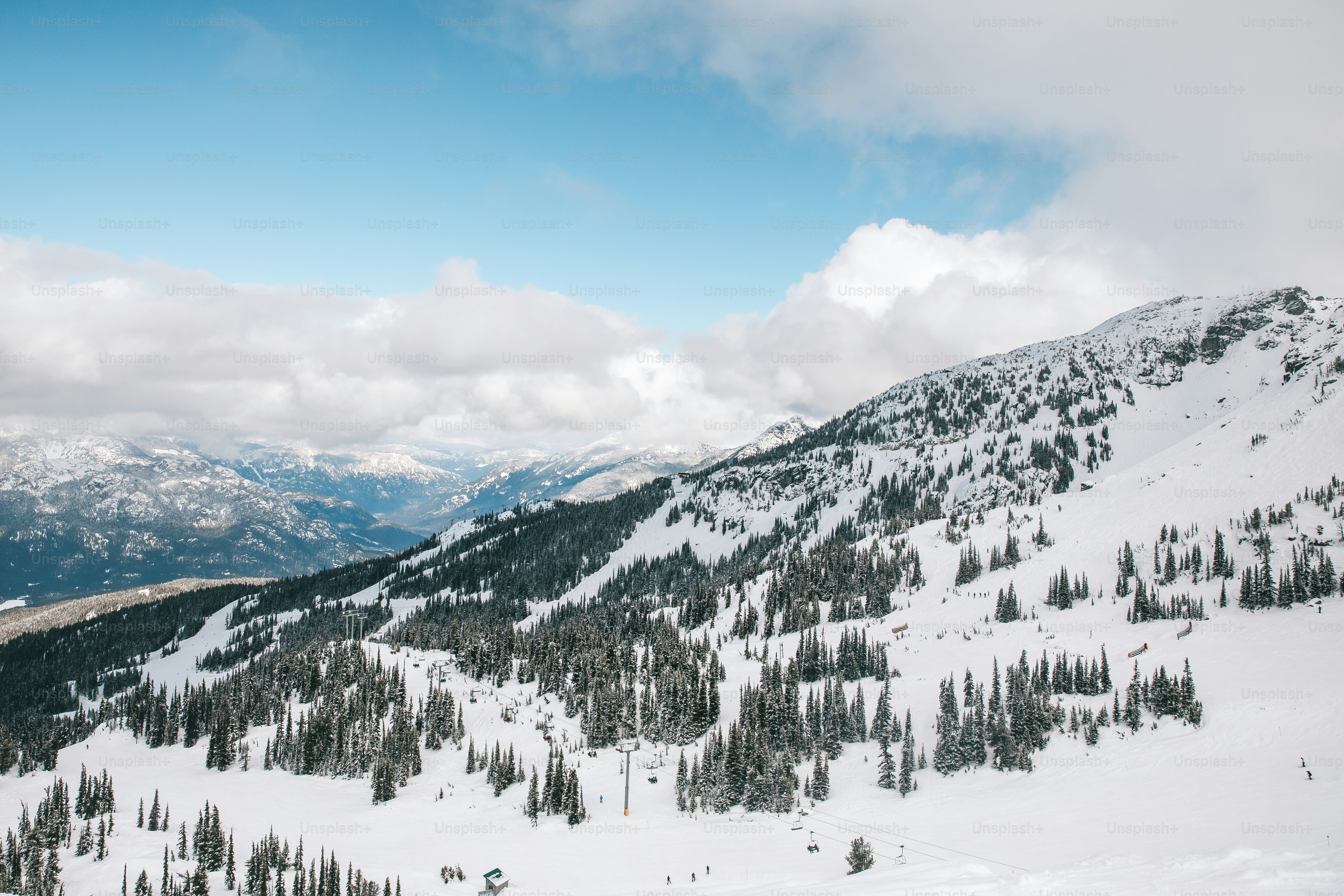 Une montagne enneigée couverte de nombreux arbres