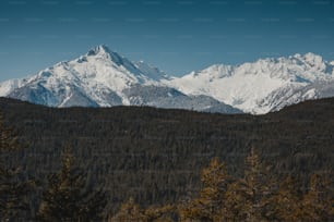 a view of a mountain range with trees in the foreground