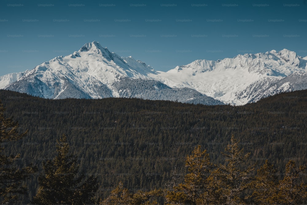 Blick auf eine Bergkette mit Bäumen im Vordergrund