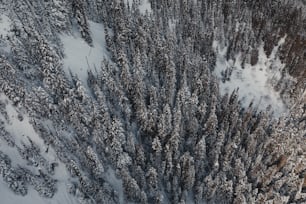 an aerial view of a snow covered forest