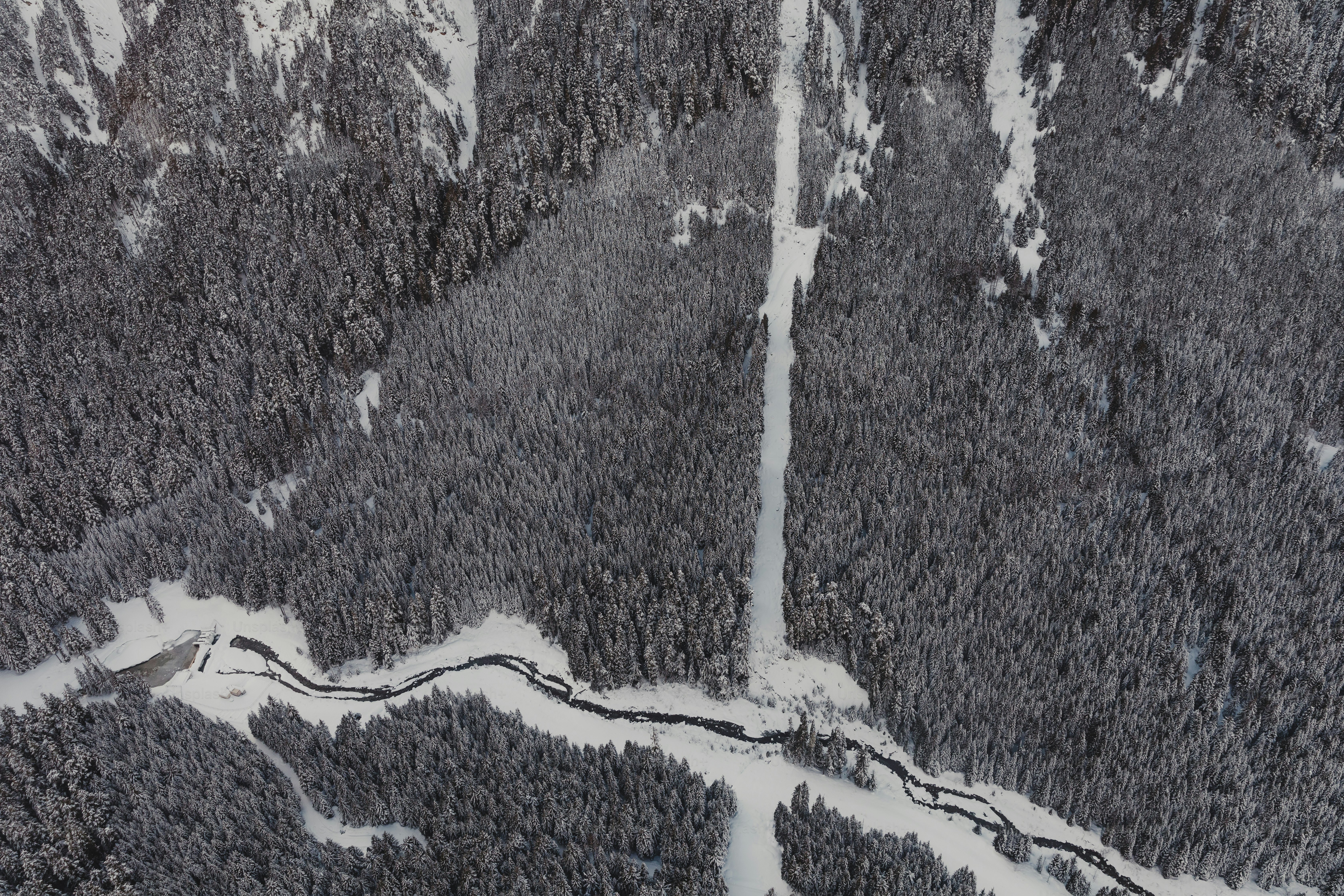 An aerial view of a snow covered forest photo – Snow Image on Unsplash