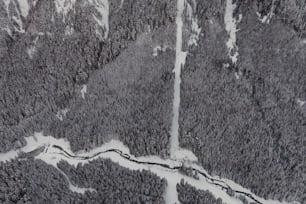 an aerial view of a snow covered forest