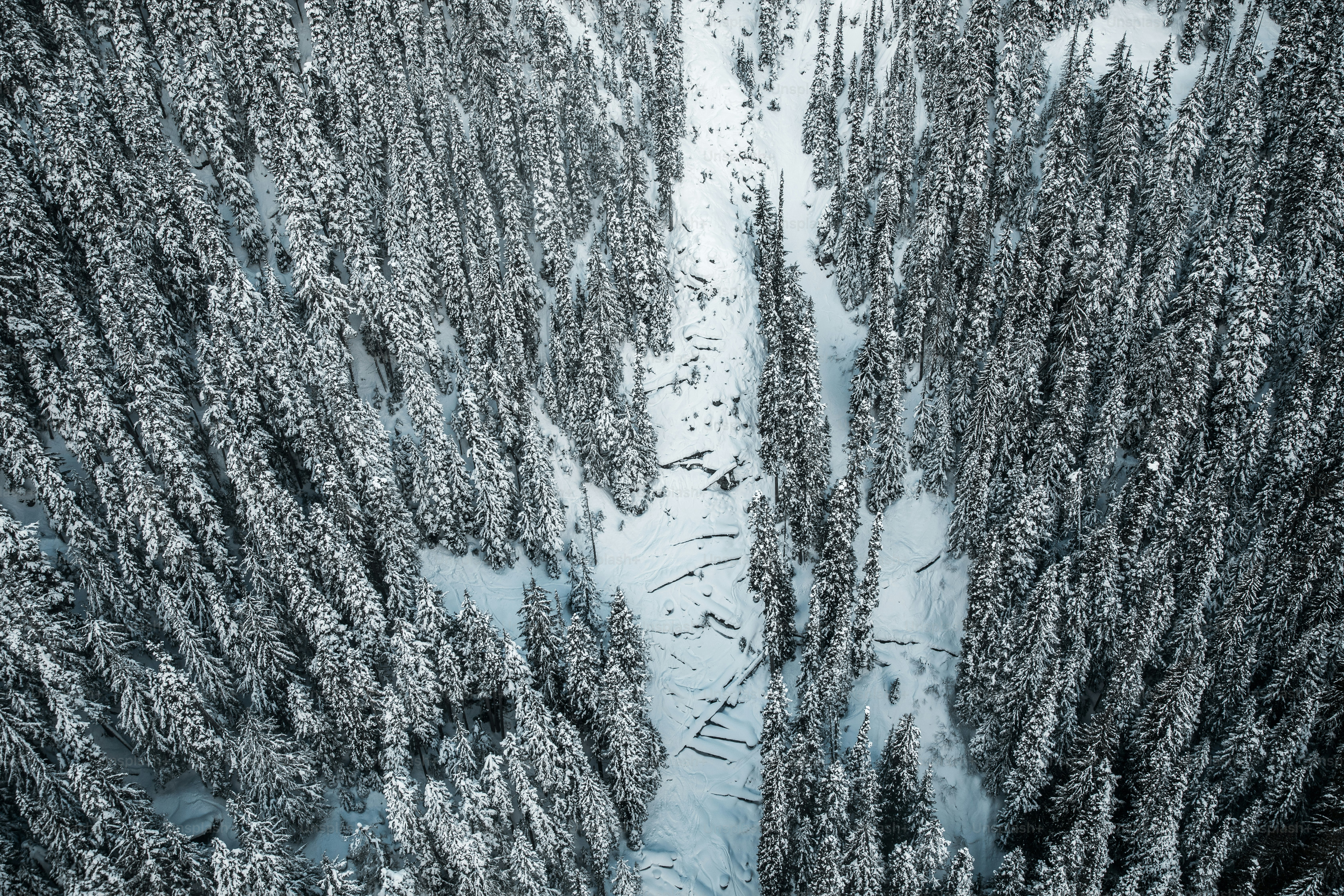 A view of a mountain range with trees in the foreground photo ...