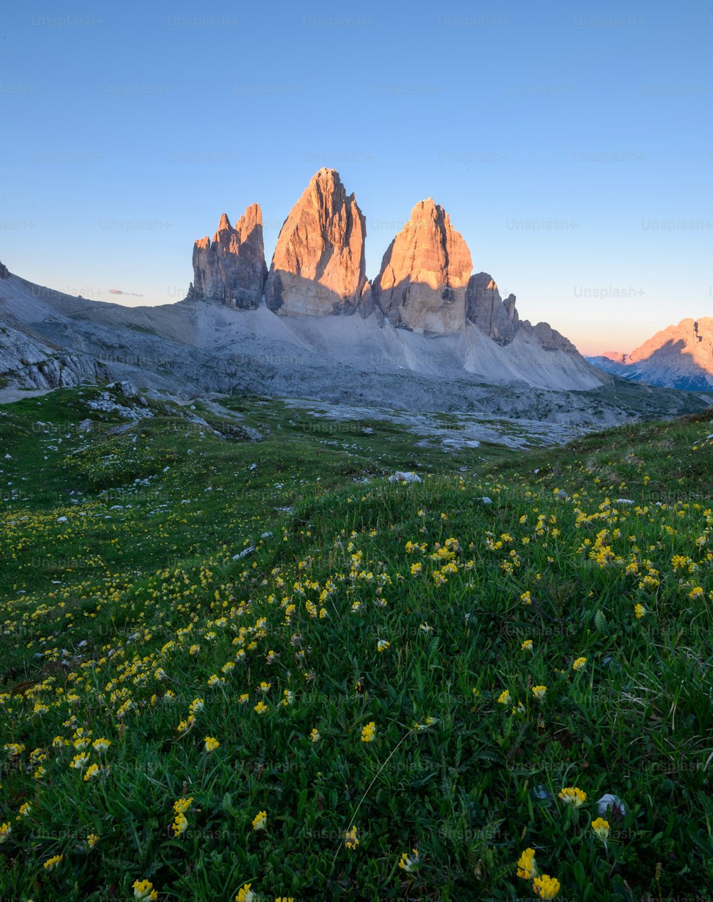 a grassy field with yellow flowers in the foreground and mountains in the background