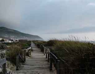 Una pasarela de madera que conduce a la playa con una montaña al fondo