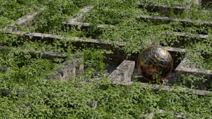 a ball sitting in the middle of a maze