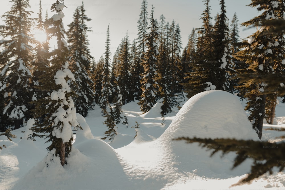 a person riding a snowboard down a snow covered slope