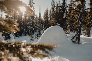 uma pessoa montando um snowboard por uma encosta coberta de neve