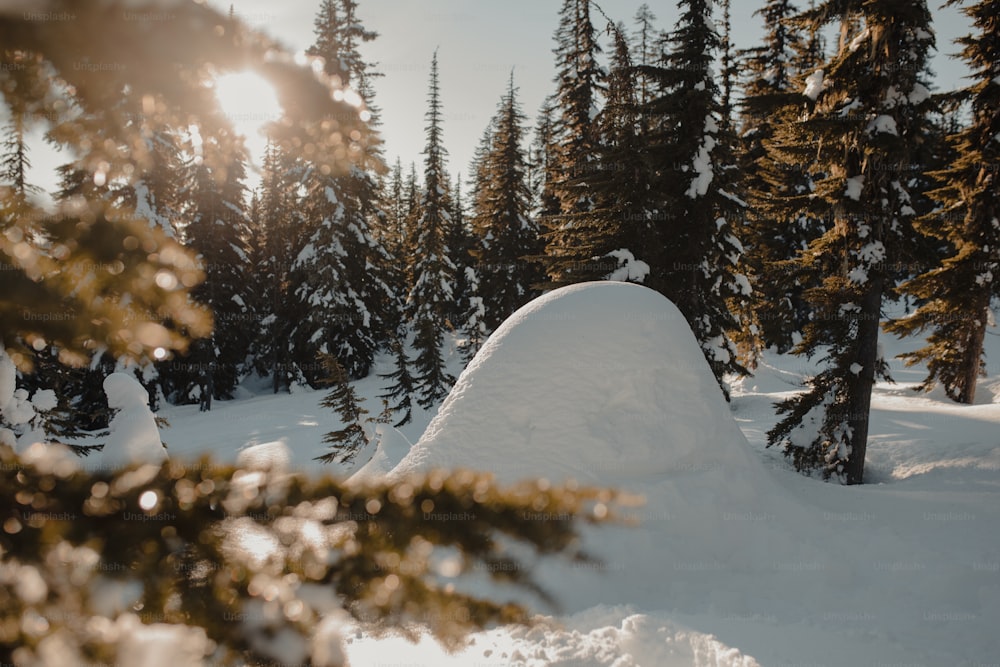 a person riding a snowboard down a snow covered slope