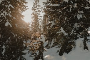 a person riding skis on a snowy surface