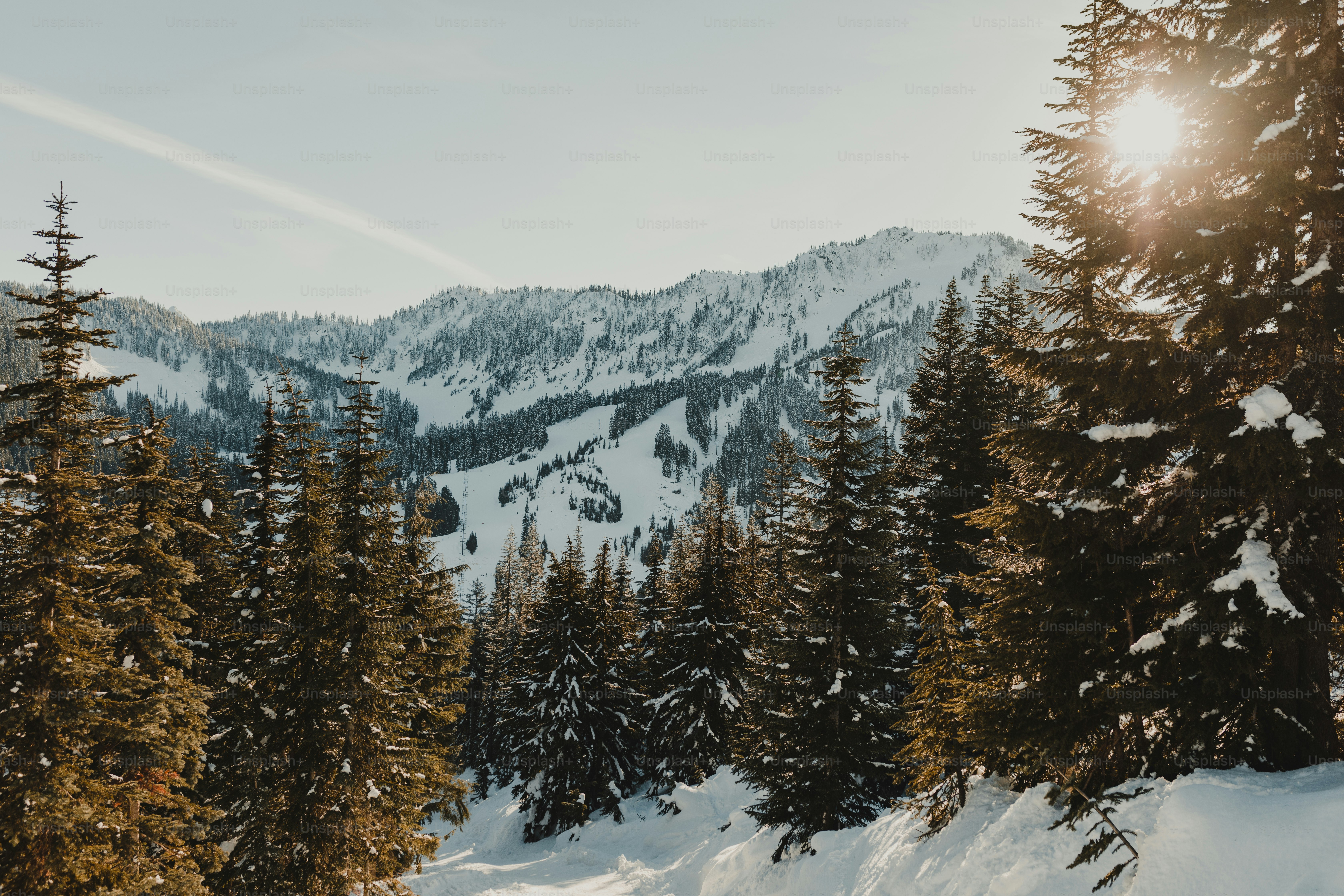 Christmas Landscape Pictures | Download Free Images on Unsplash