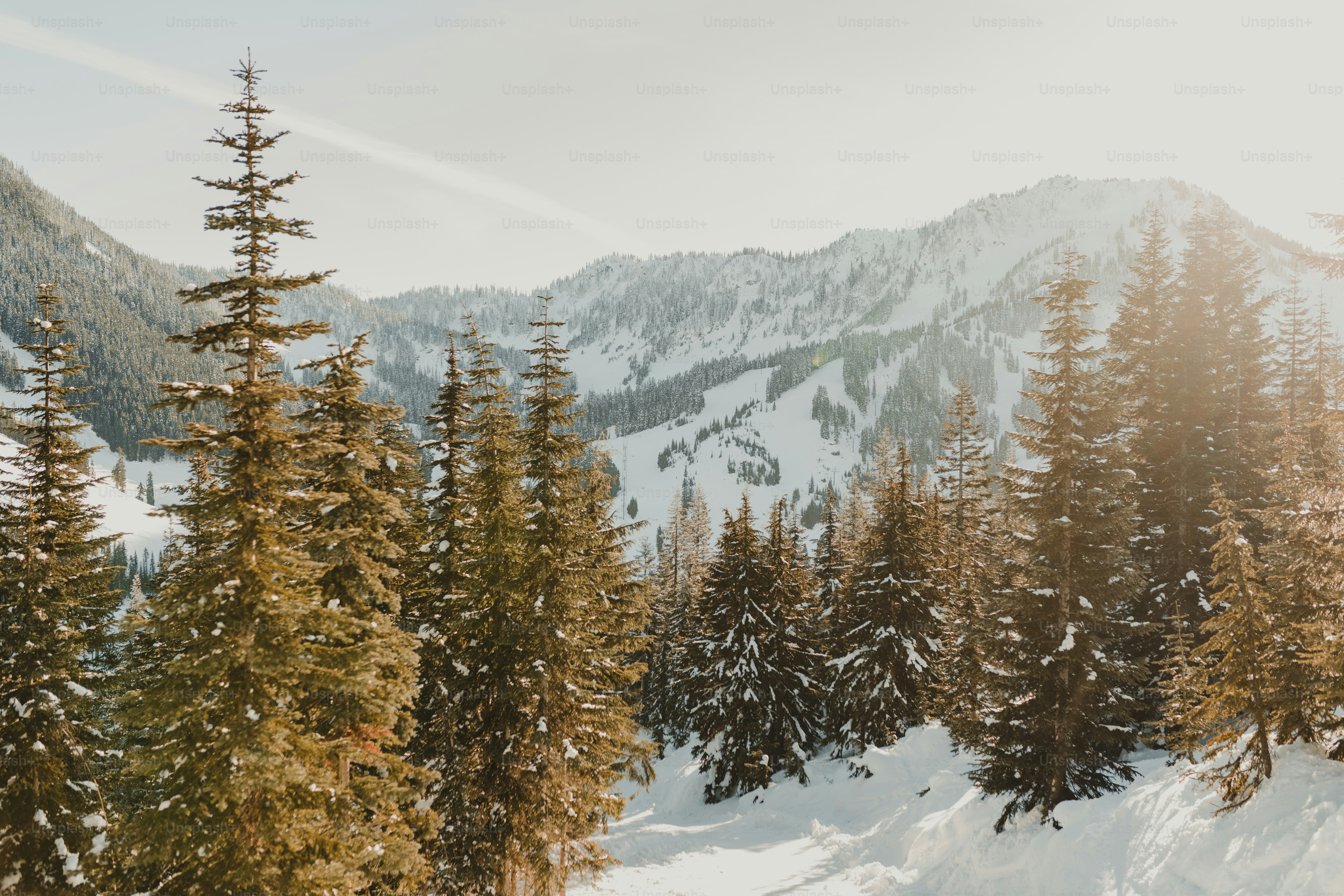 seseorang mengendarai ski di permukaan bersalju