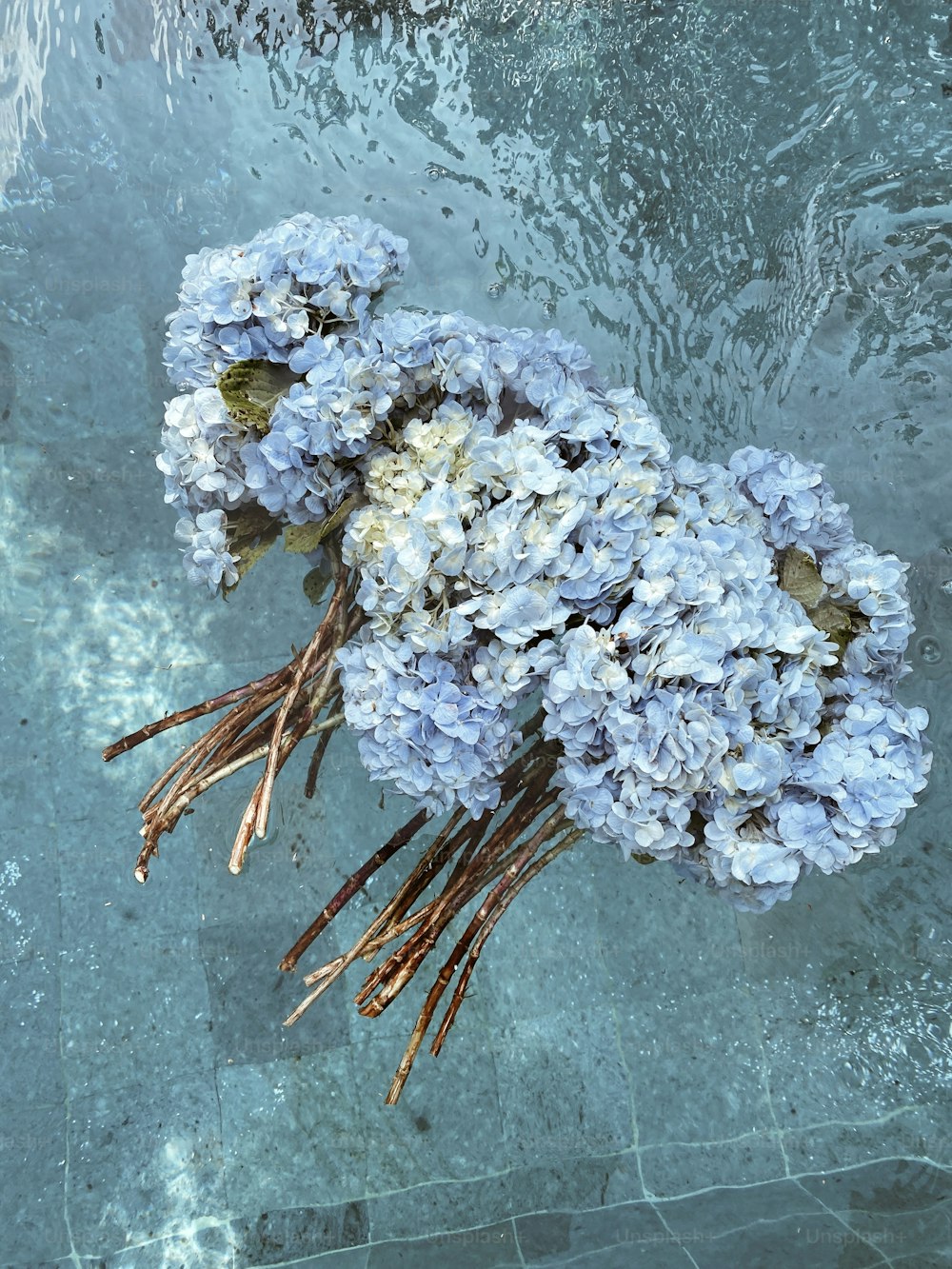 um ramo de flores flutuando em cima de um corpo de água