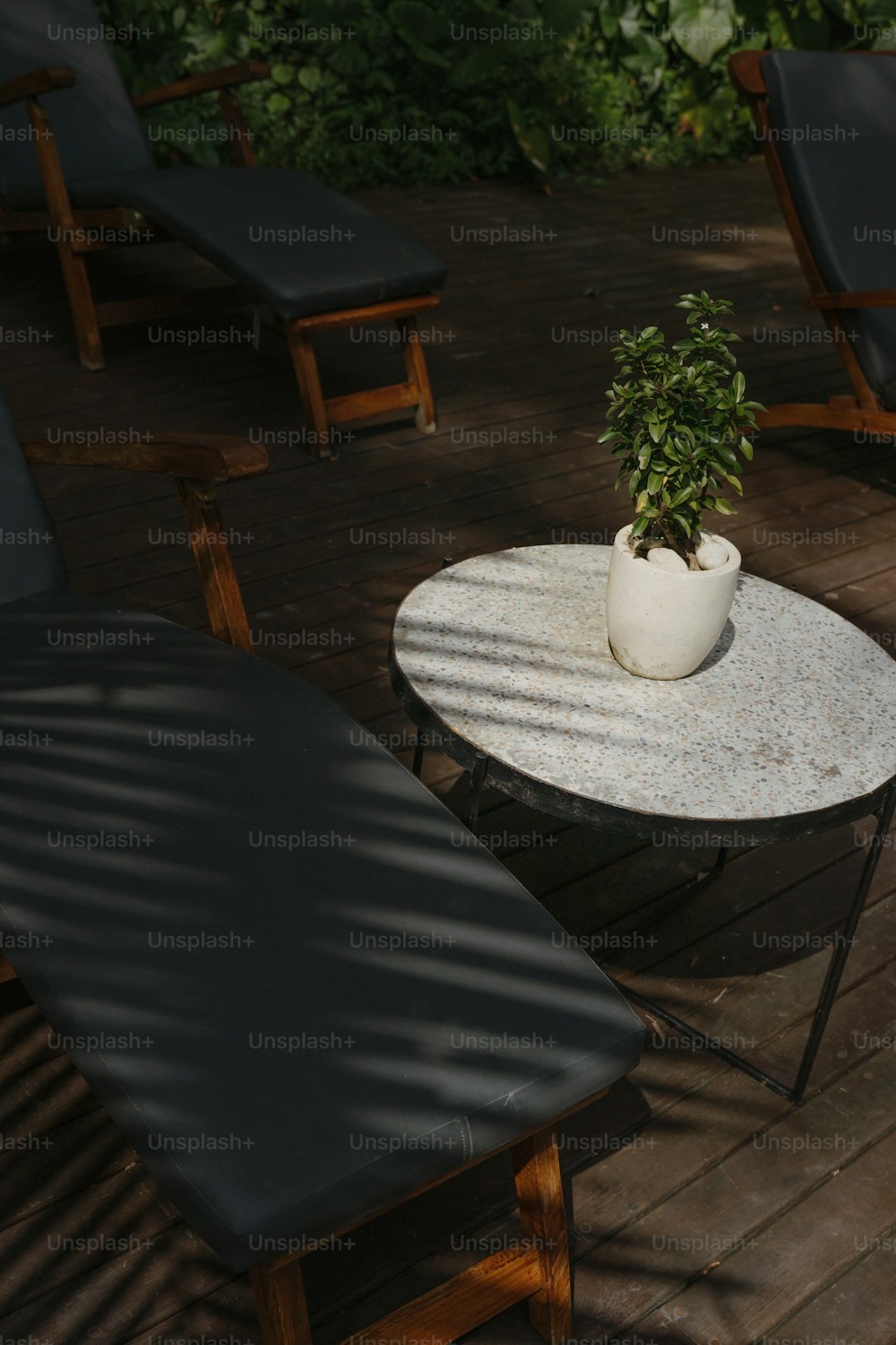 una mesa con una planta en maceta encima