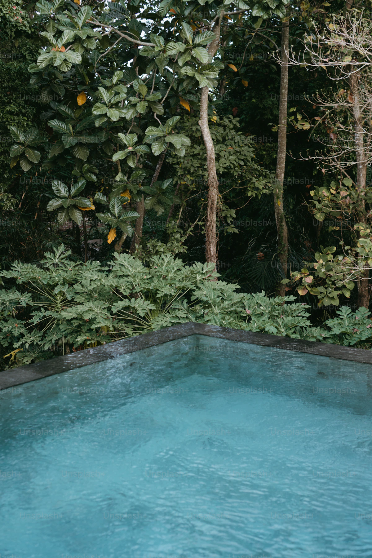 Natural-style swimming pool