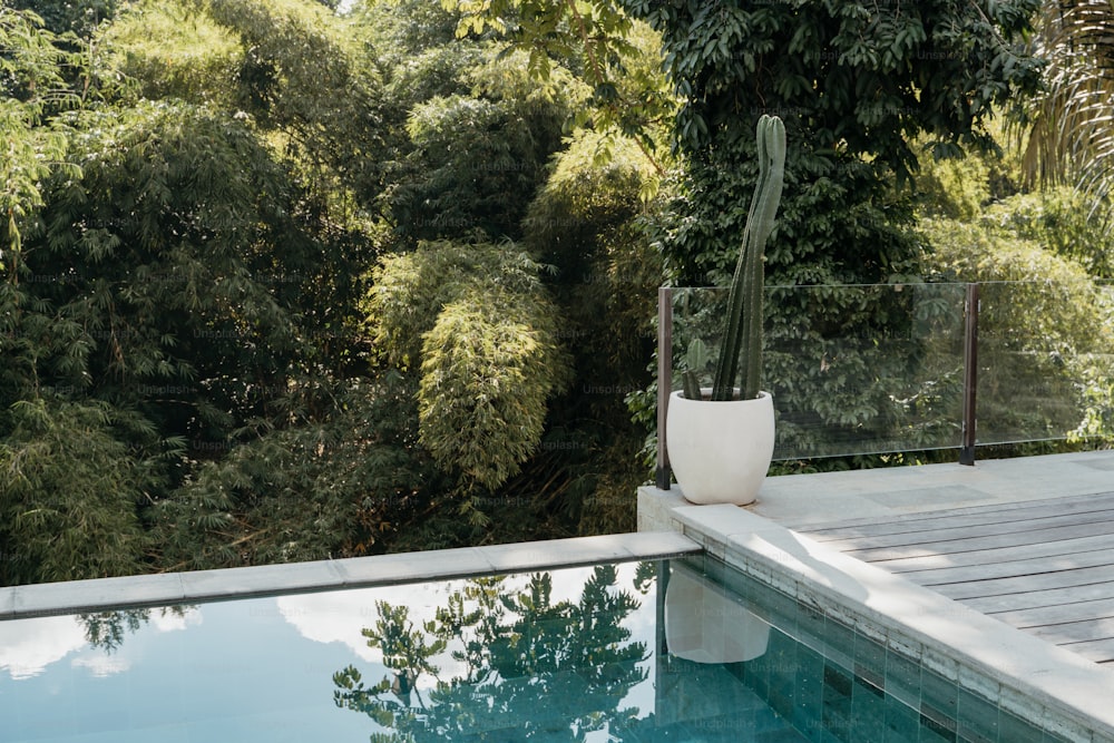a white planter sitting on the edge of a swimming pool