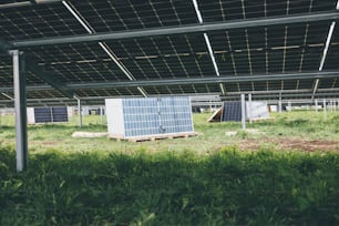 a row of solar panels sitting on top of a lush green field