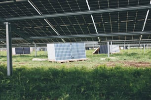 Eine Reihe von Sonnenkollektoren, die auf einer üppig grünen Wiese sitzen