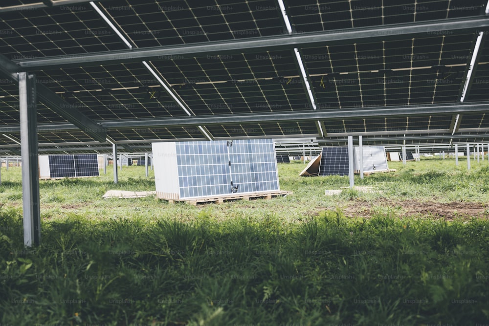 a row of solar panels sitting on top of a lush green field