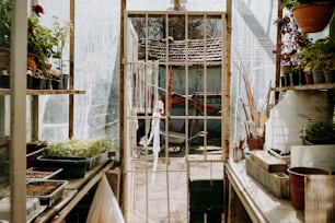 a greenhouse filled with lots of potted plants