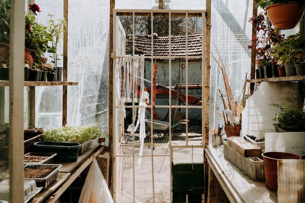 a greenhouse filled with lots of potted plants