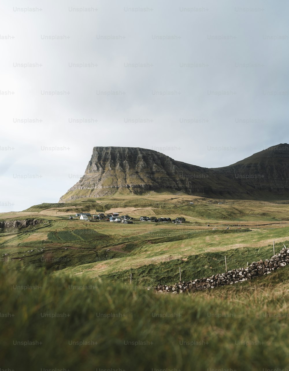 a grassy field with a mountain in the background