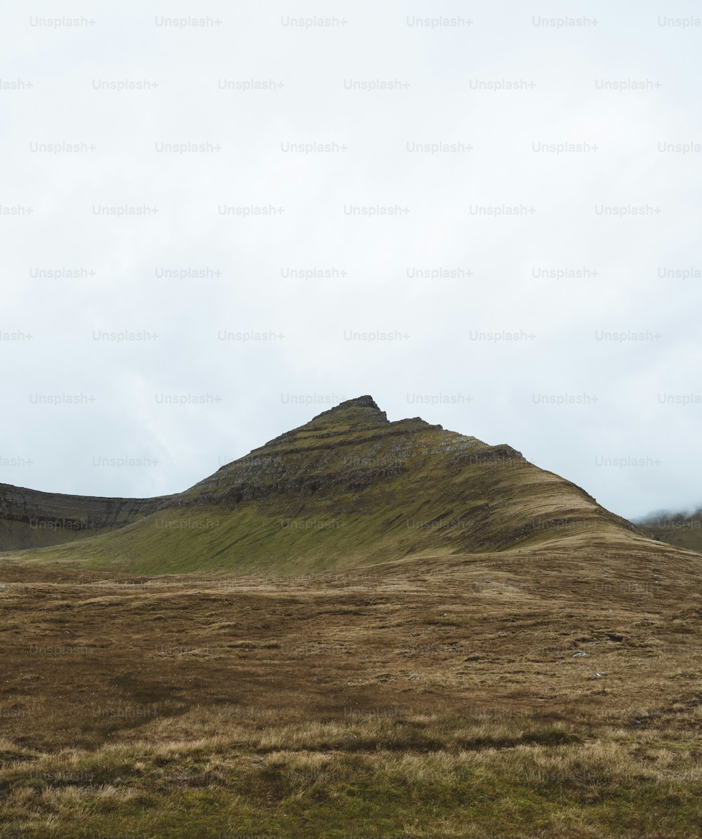 a grassy field with a mountain in the background