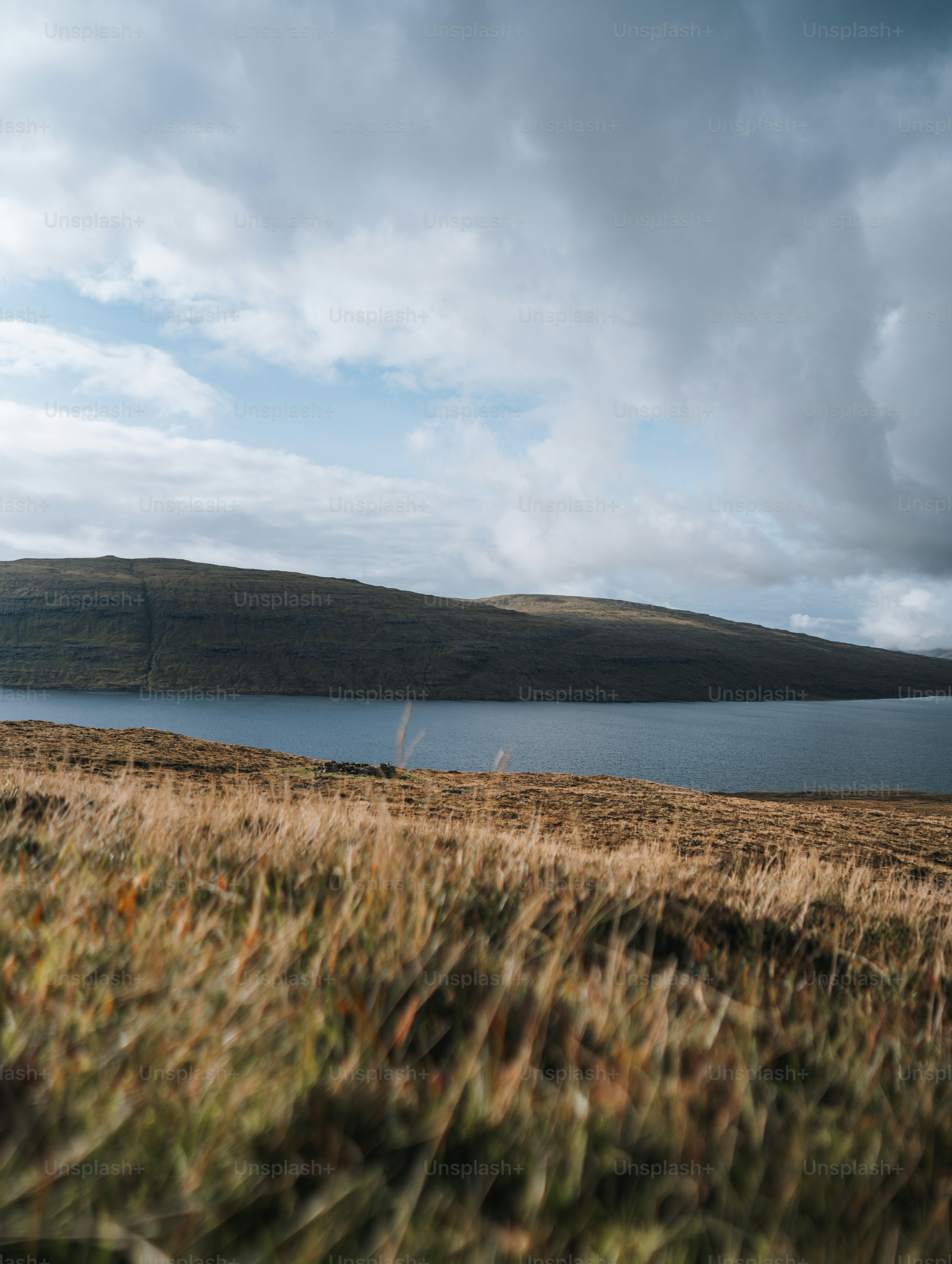 a grassy field with a body of water in the background