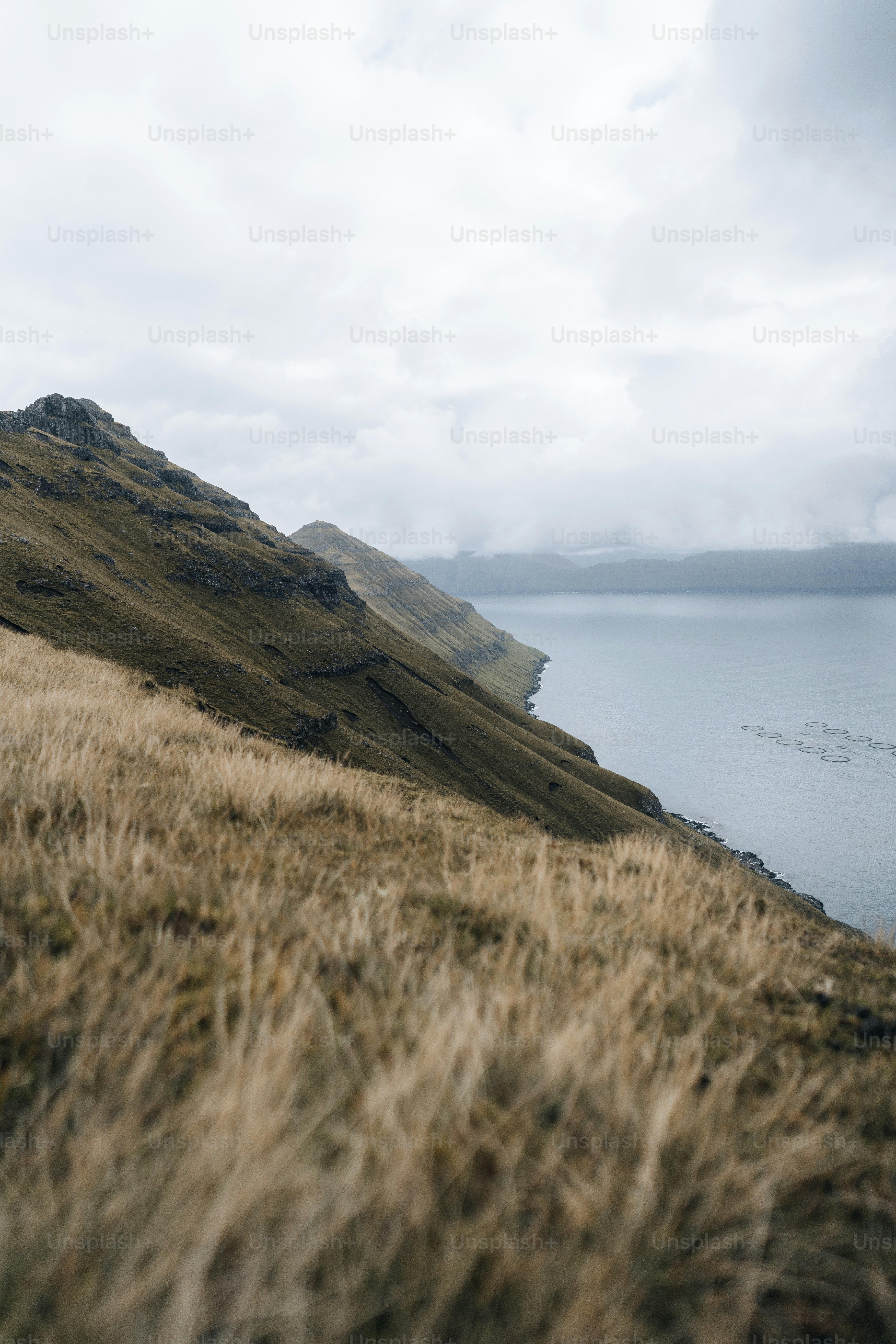 a grassy hill with a body of water in the background