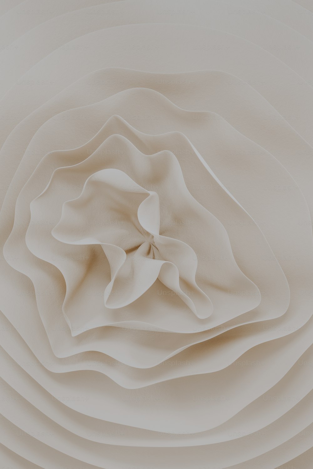 Una foto abstracta de una flor blanca sobre un fondo blanco