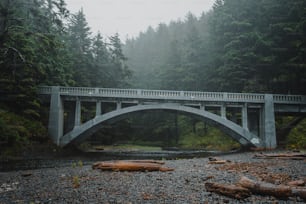 un pont sur une rivière au milieu d’une forêt
