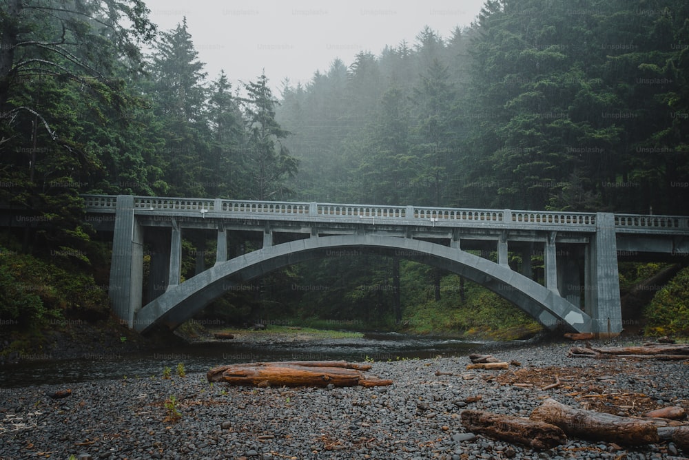 a bridge over a river in the middle of a forest