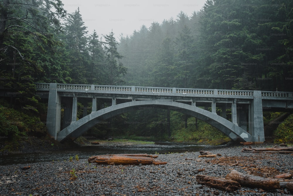 森の真ん中にある川に架かる橋