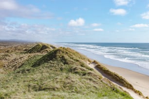 a grassy hill next to the ocean on a sunny day