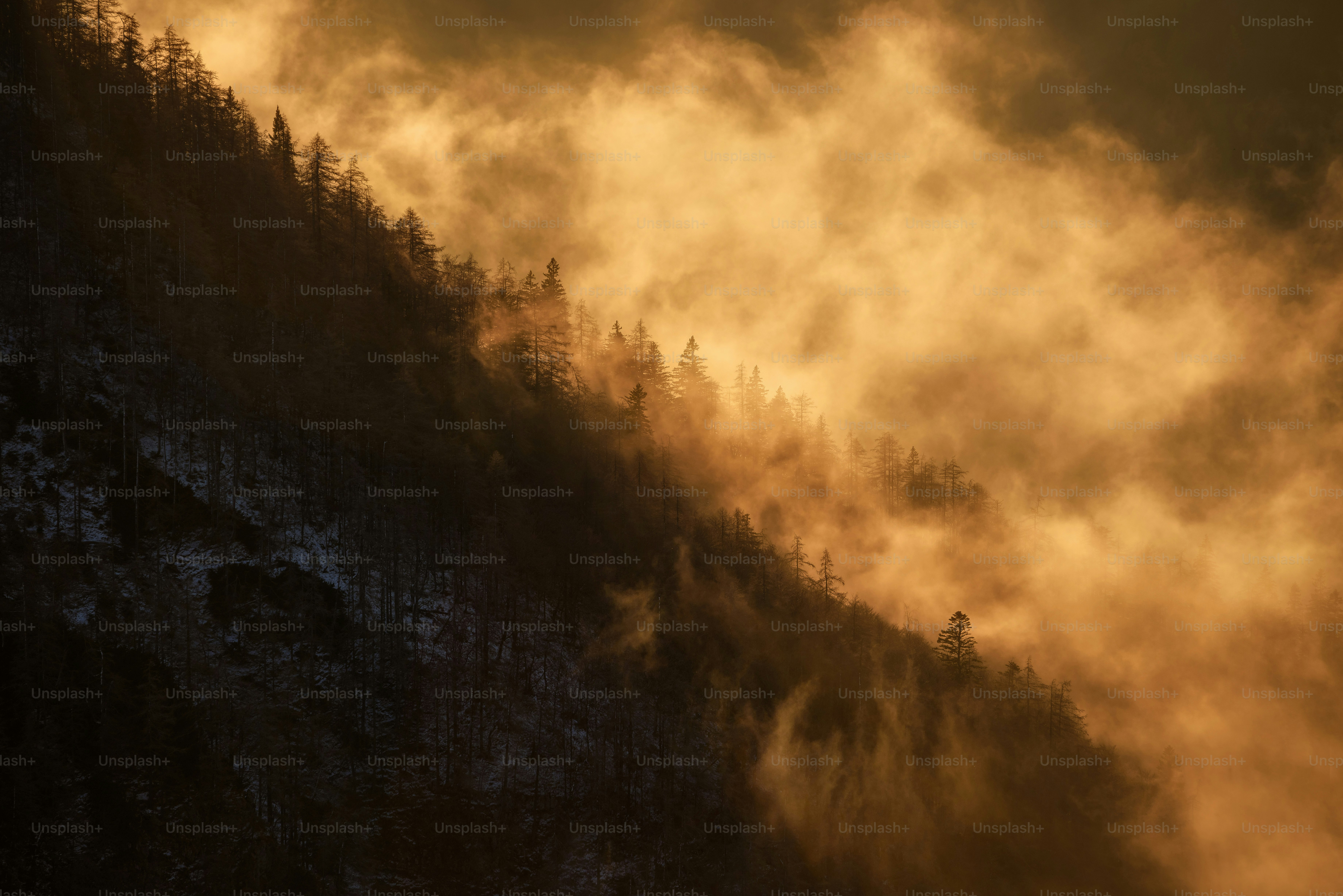 a mountain covered in fog with trees on the side of it