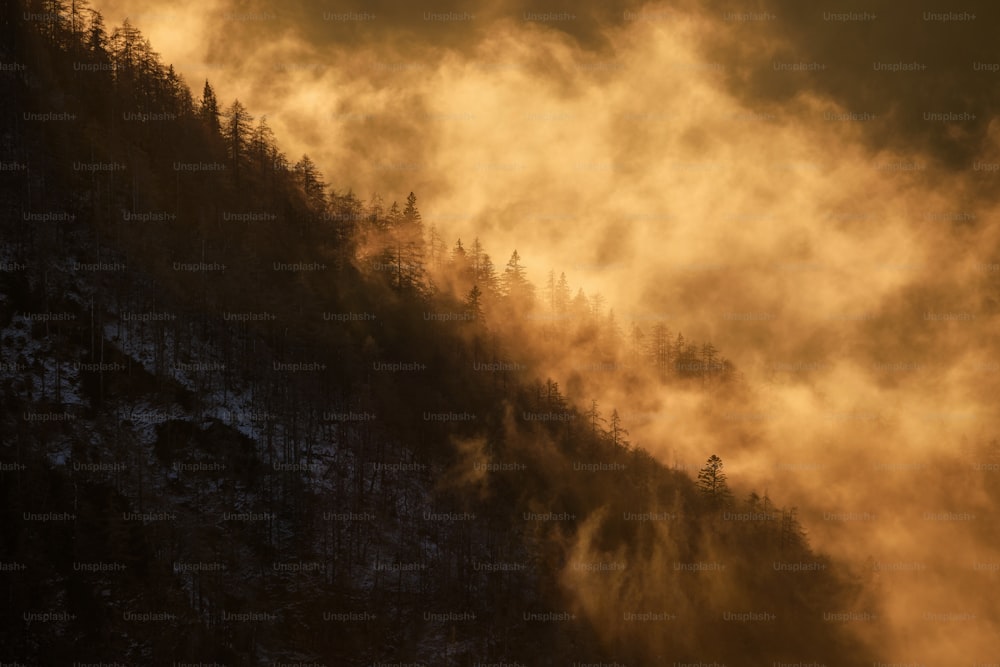 uma montanha coberta de nevoeiro com árvores ao seu lado;