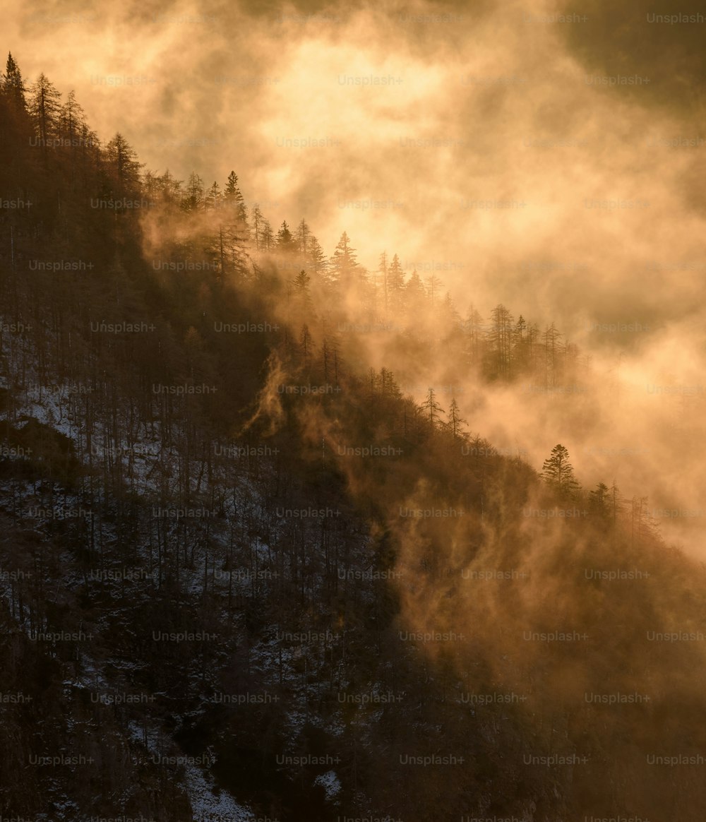 uma montanha coberta de nevoeiro com árvores em cima dela