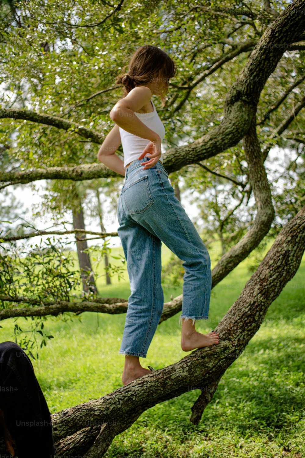 uma menina em pé em um galho de uma árvore