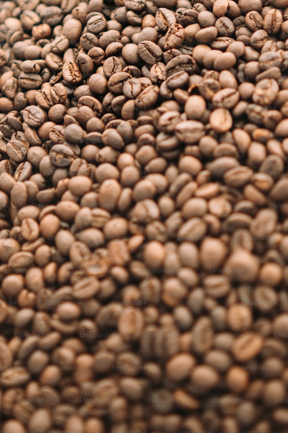 a pile of coffee beans sitting on top of a table