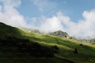 Ein grasbewachsener Hügel mit einem Berg im Hintergrund