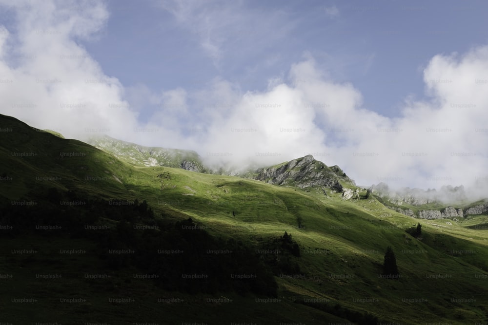 a grassy hill with a mountain in the background
