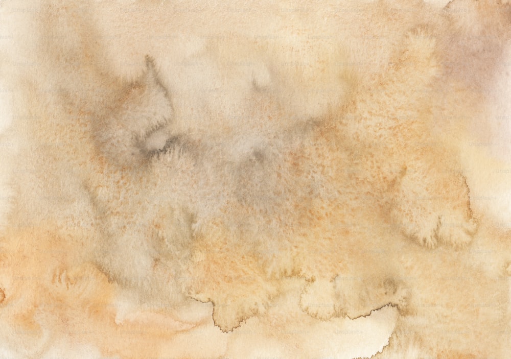 un dipinto ad acquerello di uno sfondo marrone e bianco