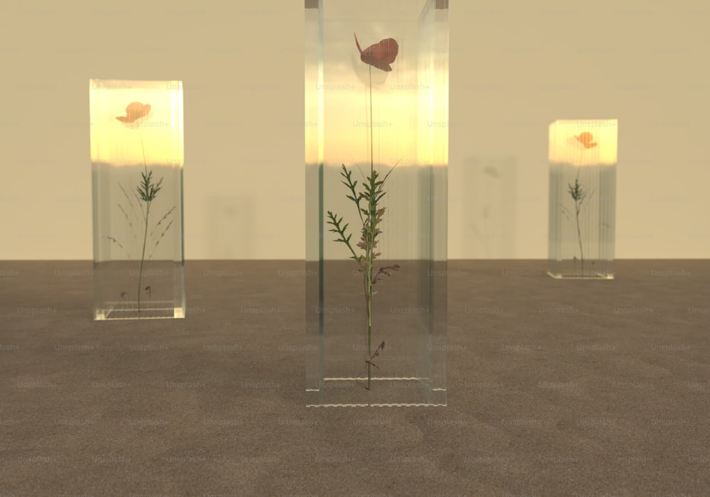 drei Glasvasen mit Pflanzen darin