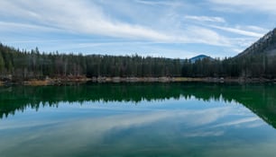 un grand plan d’eau entouré d’une forêt