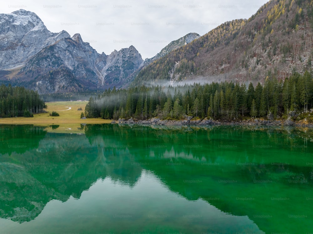 Un lago verde circondato da montagne e alberi