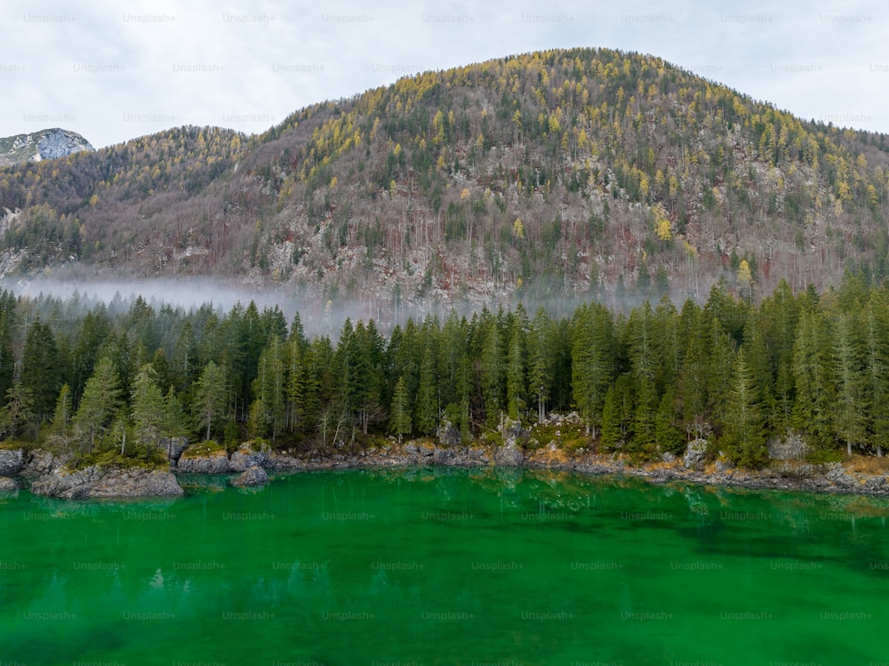 um lago verde cercado por árvores e uma montanha