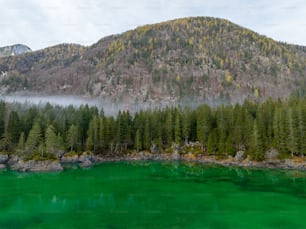 a green lake surrounded by trees and a mountain
